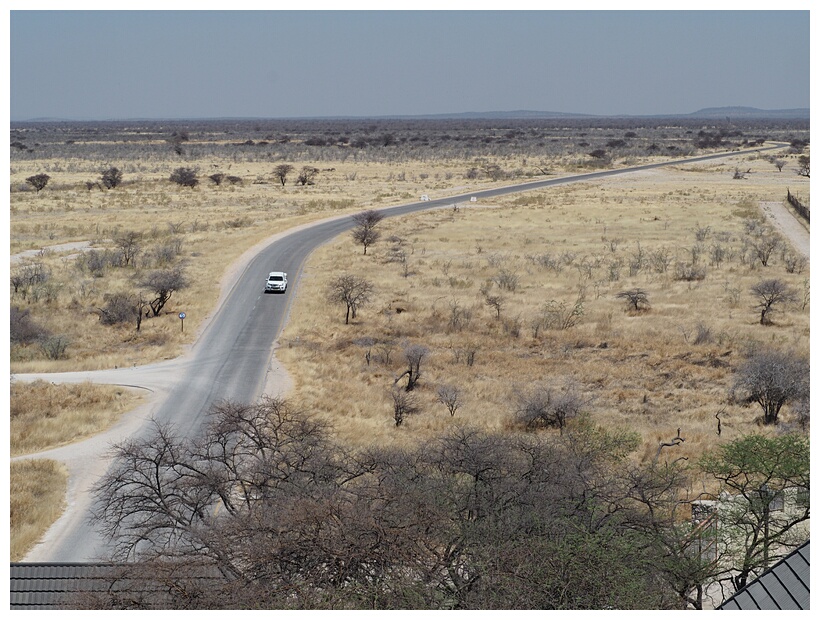 Etosha National Park