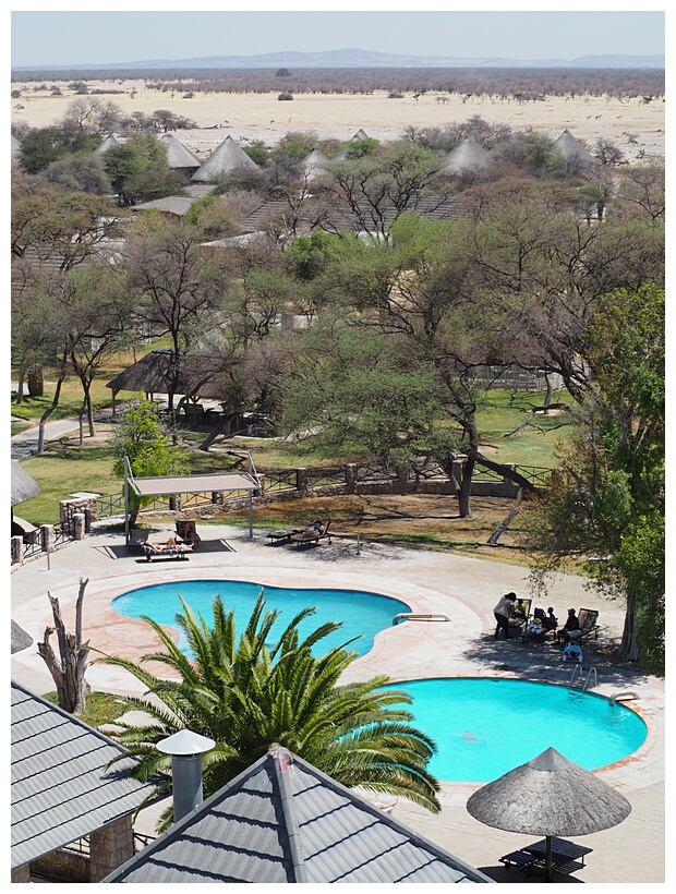 Etosha National Park