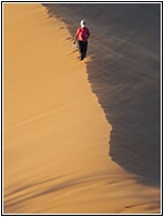 Dune 45