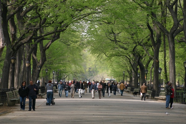 Walking in Central Park