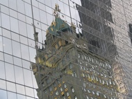 Reflected Building