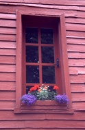 Wooden House Detail