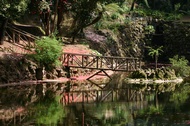 Buaco Gardens
