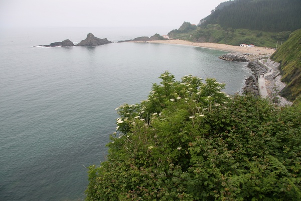 Playa de Saturrarn