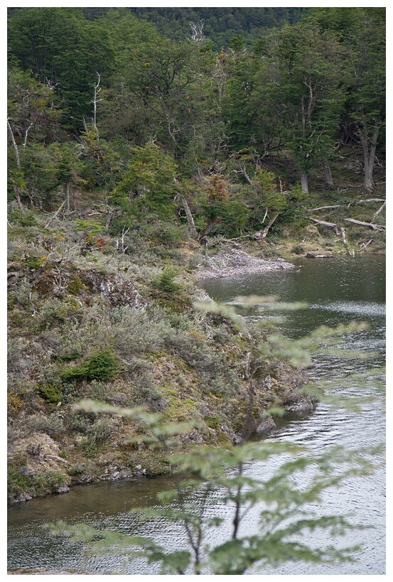 Parque Nacional Tierra del Fuego