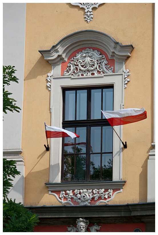 Polish Flag