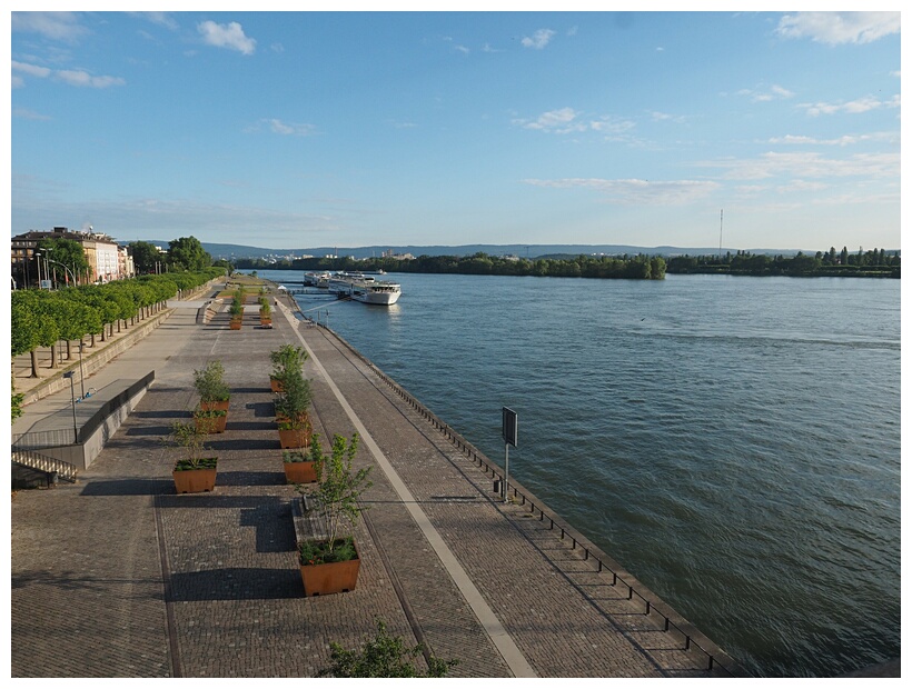 The Rhine