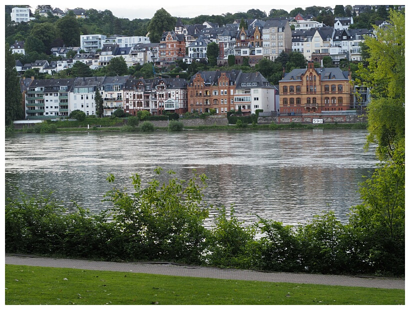 Rhine