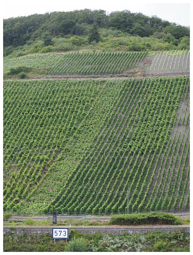 Boppard