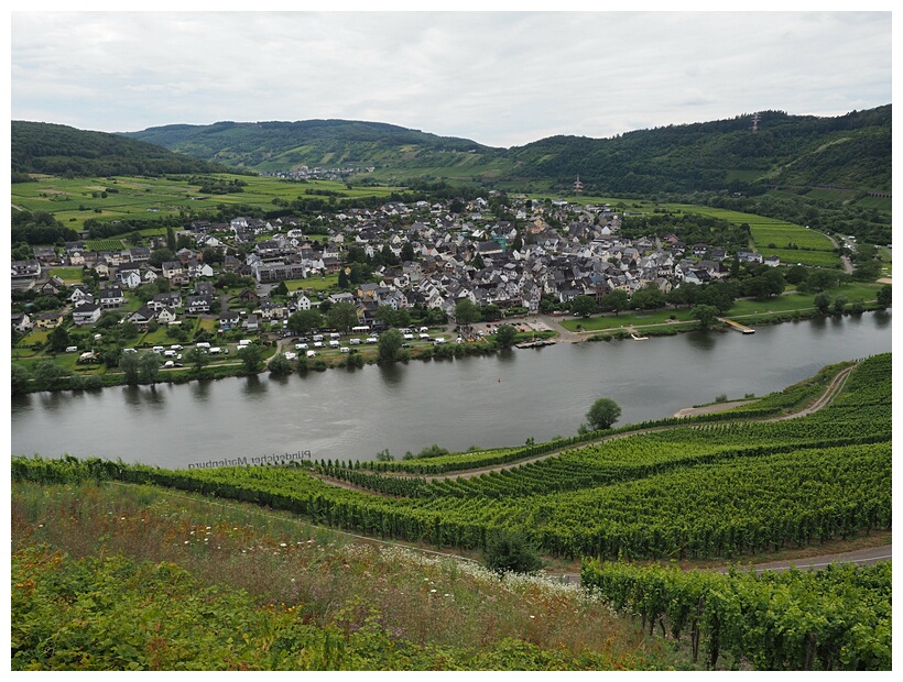 Mosel Valley