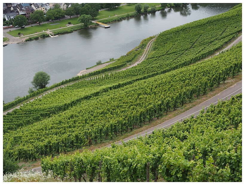 Mosel Valley