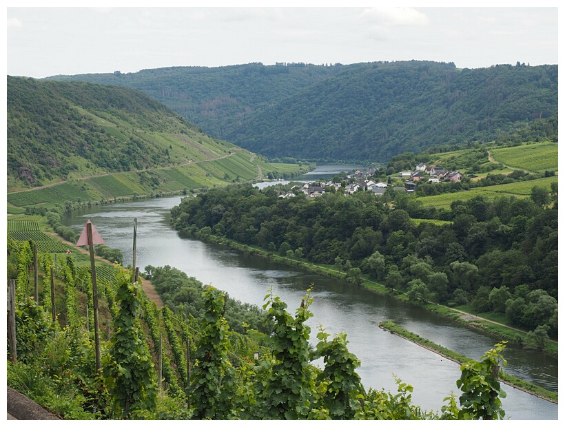 Mosel Valley