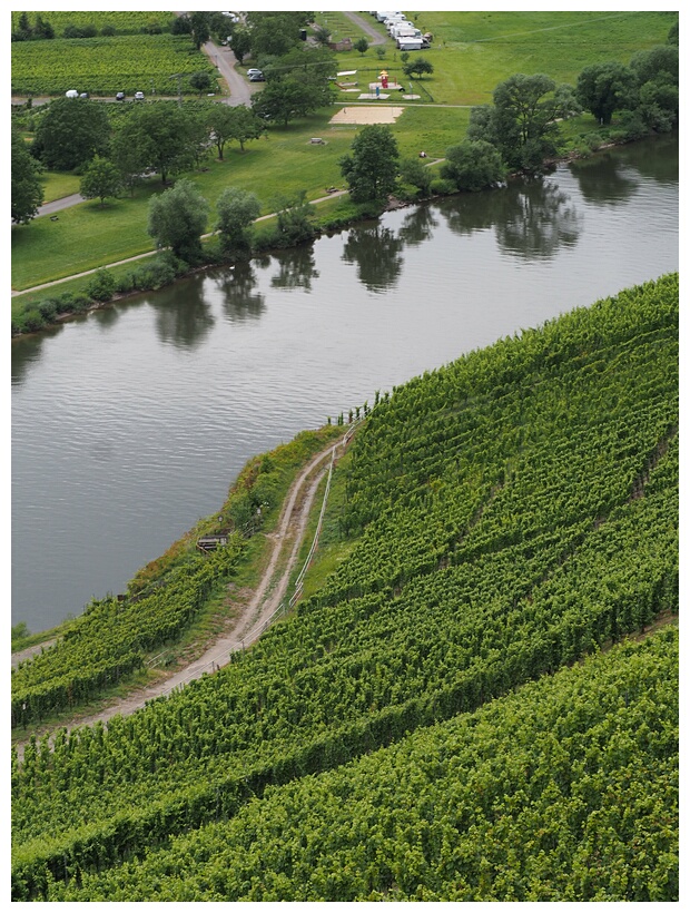 Mosel Valley