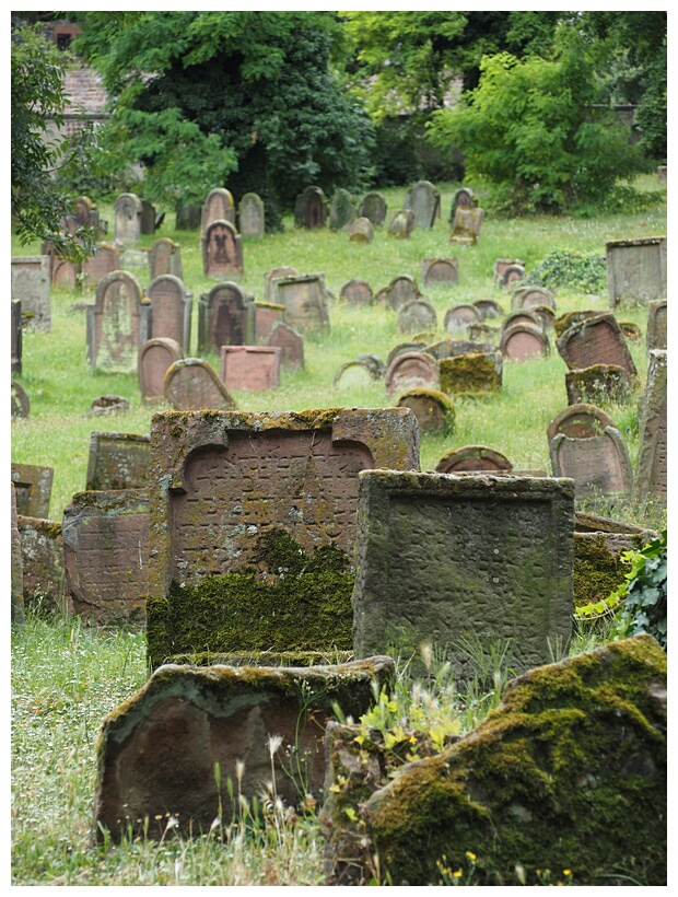 Jewish Cemetery