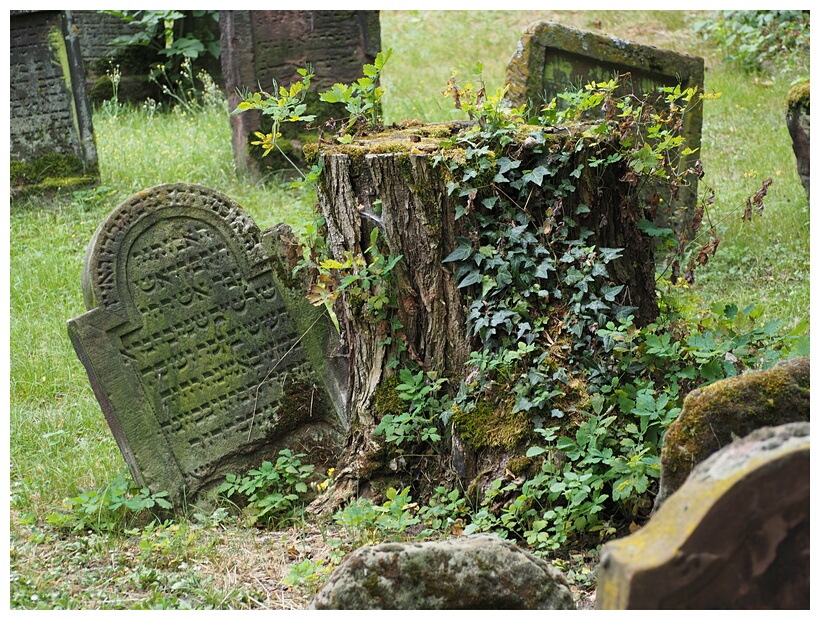 Jewish Cemetery