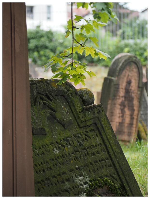 Jewish Cemetery