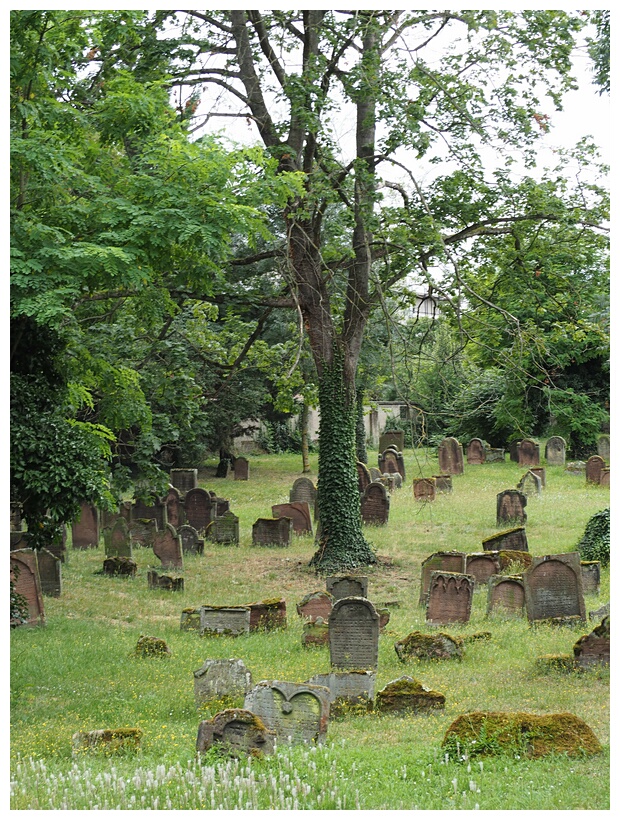 Jewish Cemetery