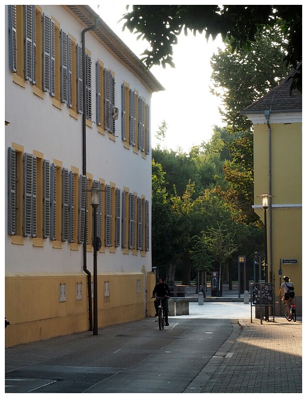 Picturesque Street