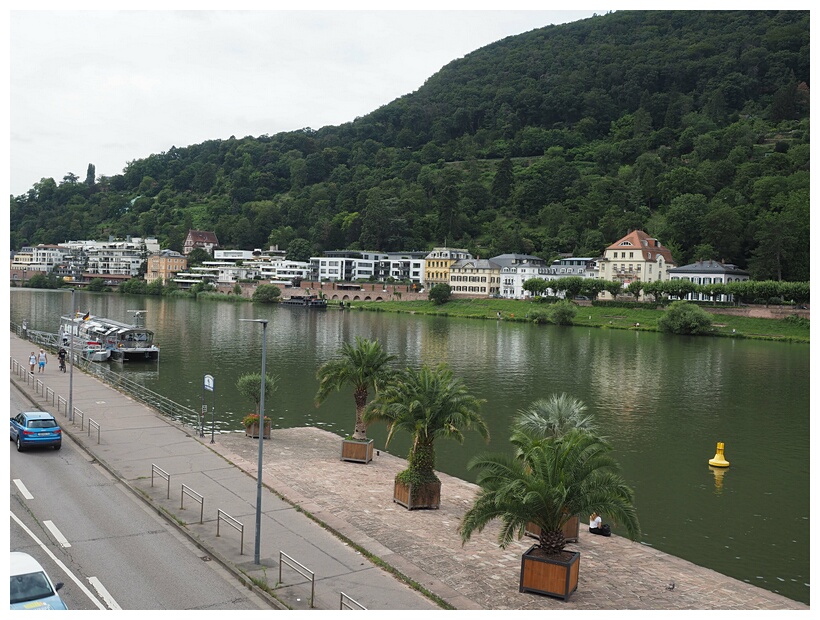 Neckar River