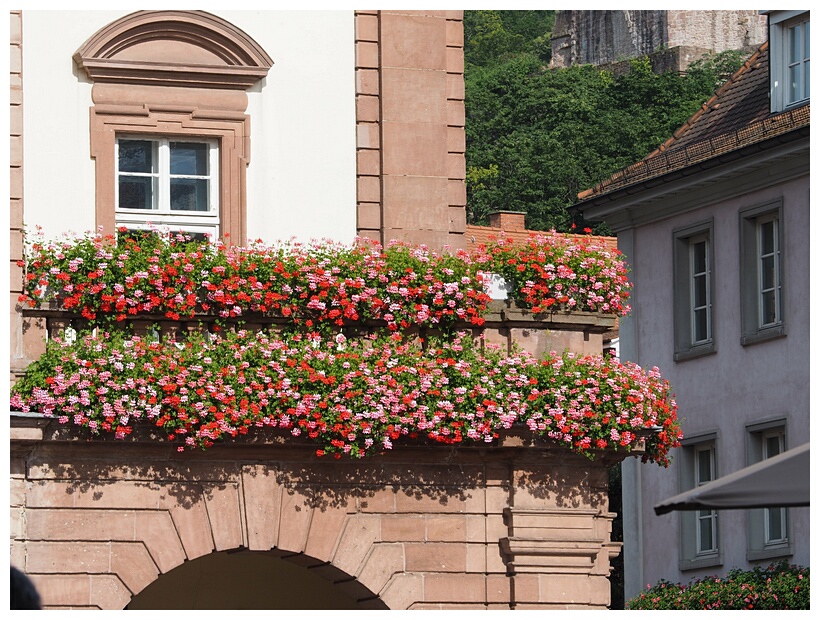 Town Hall