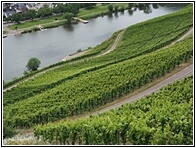 Mosel Valley