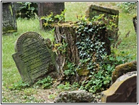 Jewish Cemetery