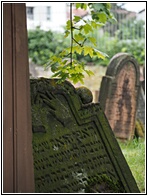 Jewish Cemetery