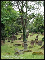 Jewish Cemetery