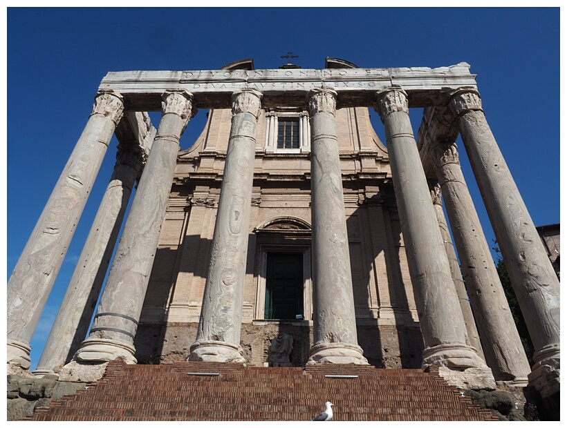 The Temple of Antonino and Faustina