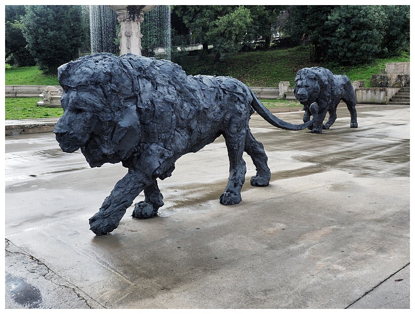 Bronze Lions