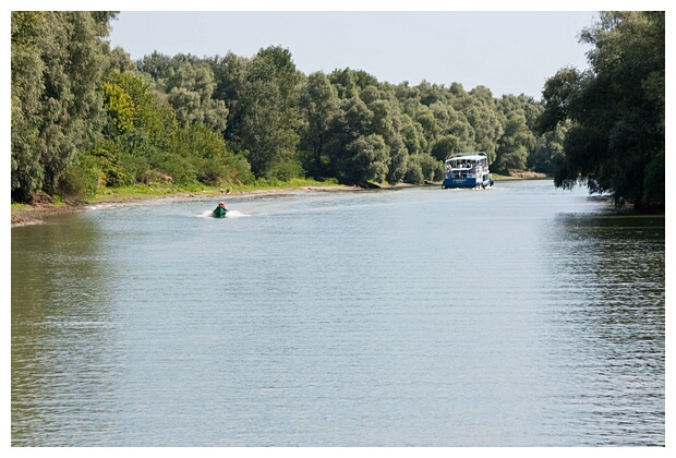 Danube Delta Arm