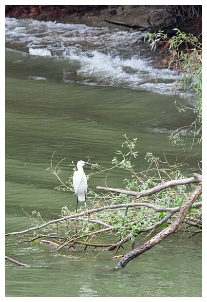 Danube Delta