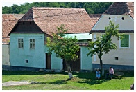Saxon Houses