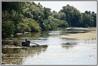 Fishing in the Danube