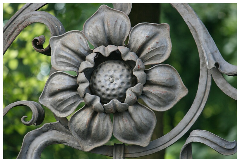 Iron Flower