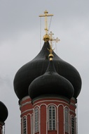 Donskoy Domes