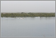 Parc National du Delta du Saloum