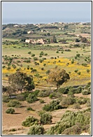 Campos de Agrigento