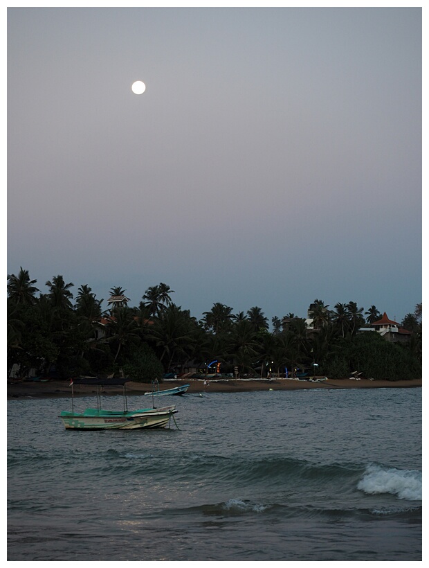 Mirissa Beach