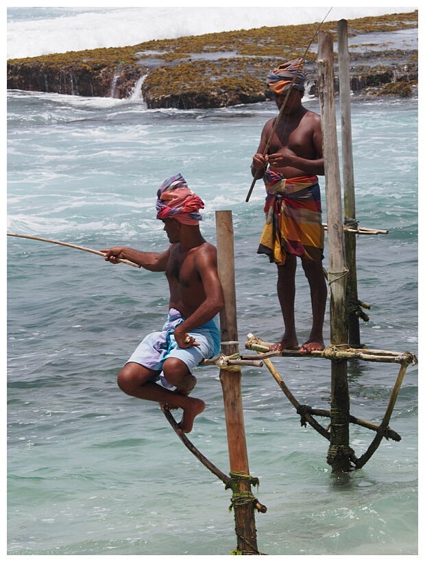 Stilt Fishermen 