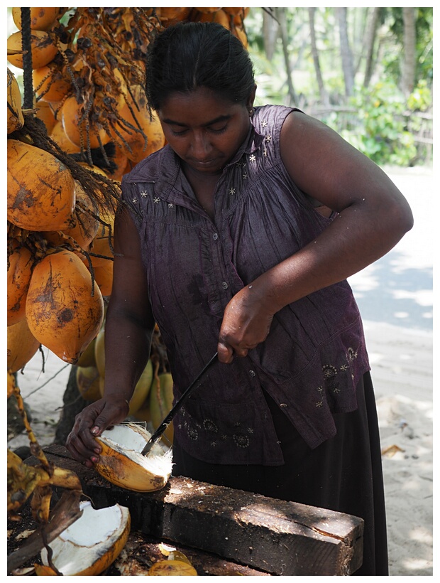 Cutting Coconuts