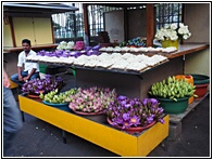 Selling Flowers