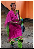 Colored Sari