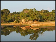 Yala National Park
