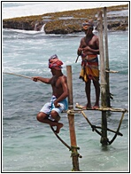 Stilt Fishermen 