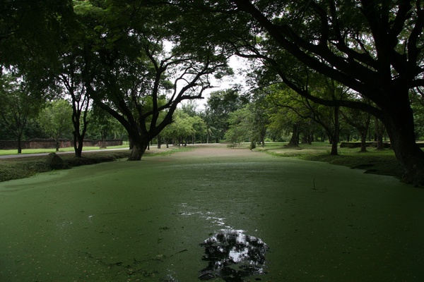 Sukhothai Landscape