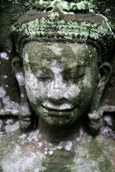 Face with Lichen