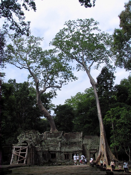 Ta Phrom