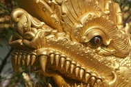 Naga Detail