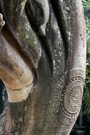 Naga Detail